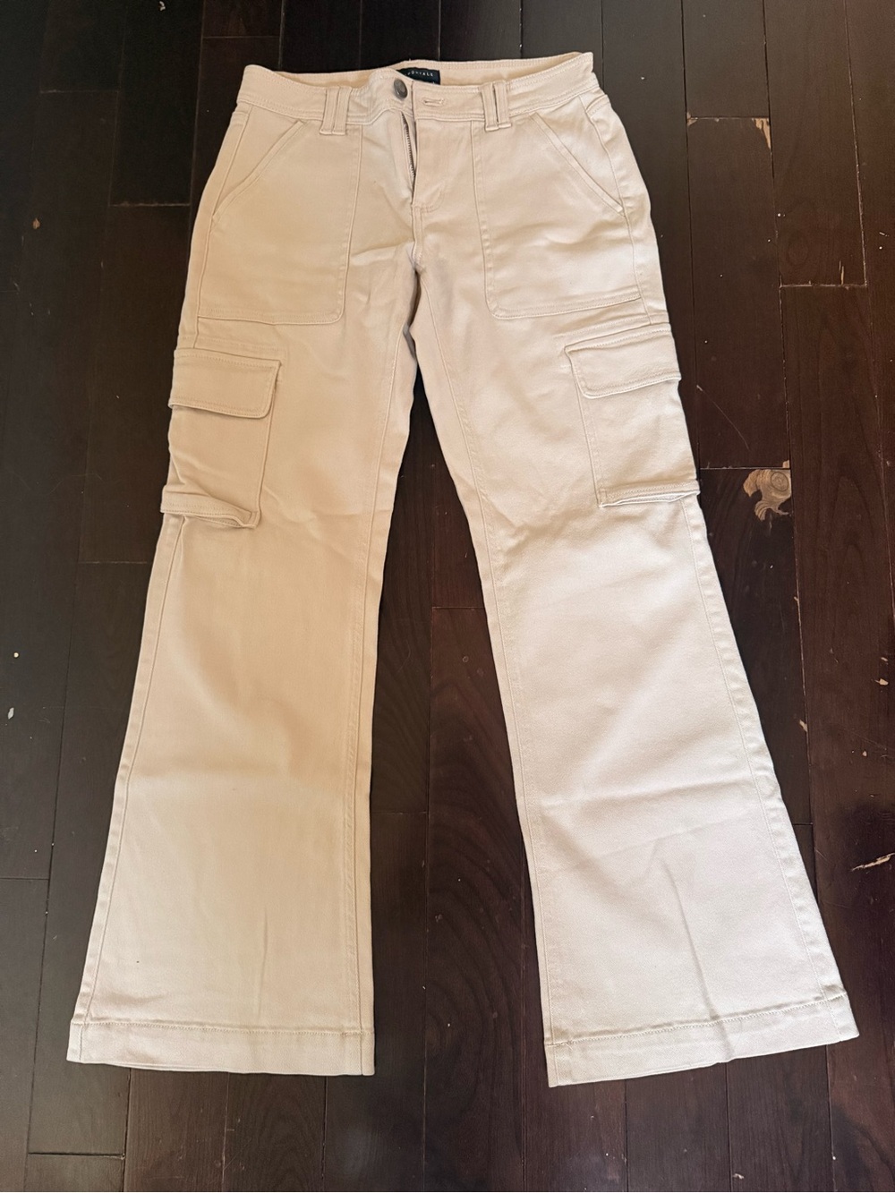 2 pairs of American Eagle/Aeropostale cargo pants and ripped jeans